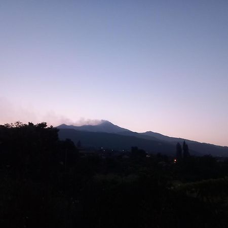 فيلا Etna Green House زافيرانا إتنيا المظهر الخارجي الصورة
