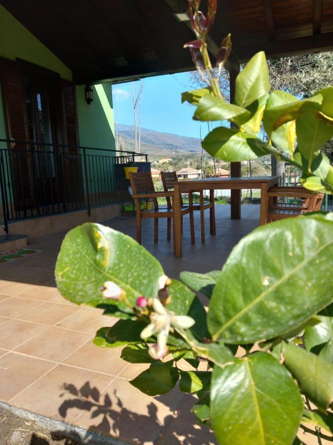 فيلا Etna Green House زافيرانا إتنيا المظهر الخارجي الصورة