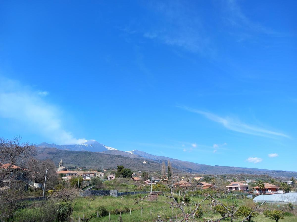 فيلا Etna Green House زافيرانا إتنيا المظهر الخارجي الصورة