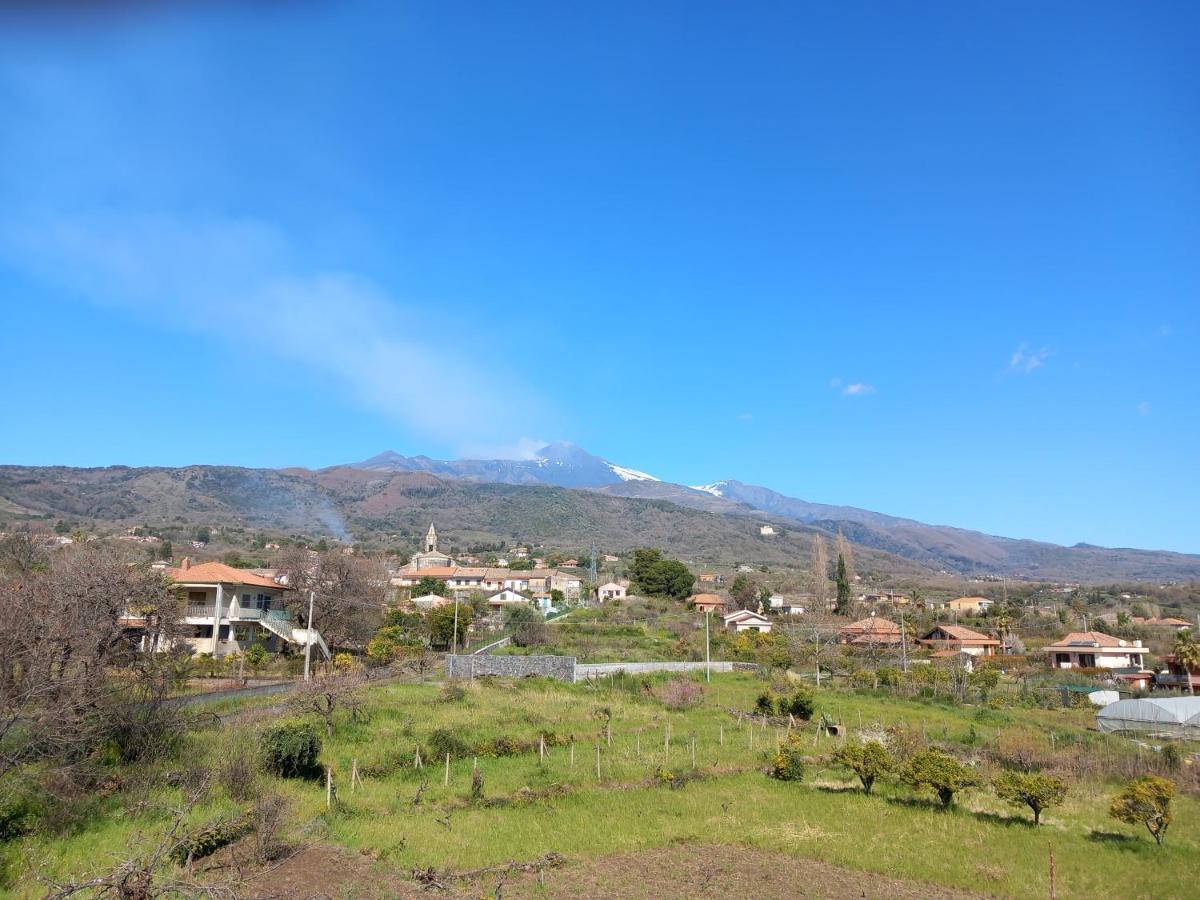 فيلا Etna Green House زافيرانا إتنيا المظهر الخارجي الصورة