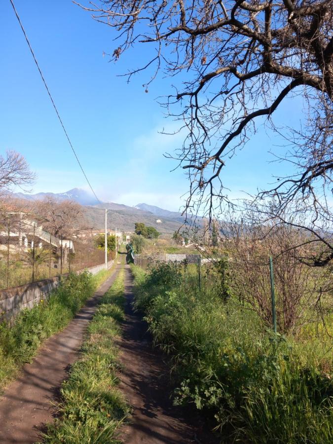 فيلا Etna Green House زافيرانا إتنيا المظهر الخارجي الصورة