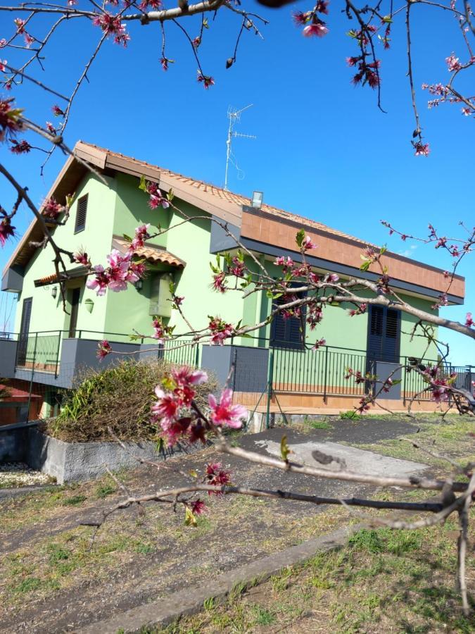 فيلا Etna Green House زافيرانا إتنيا المظهر الخارجي الصورة