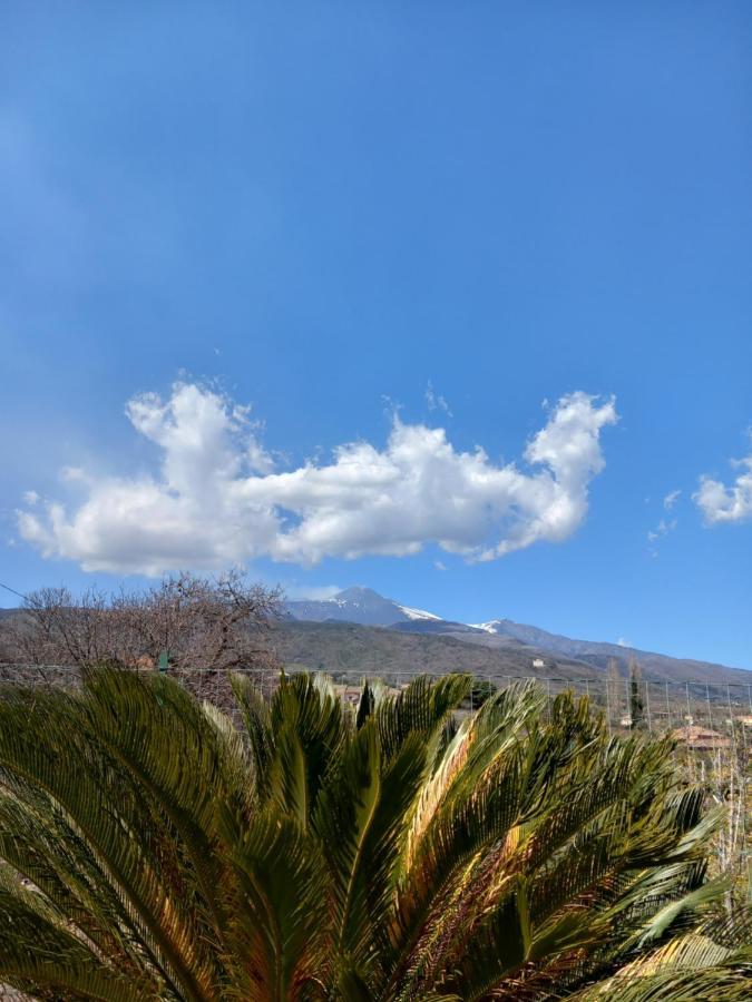 فيلا Etna Green House زافيرانا إتنيا المظهر الخارجي الصورة