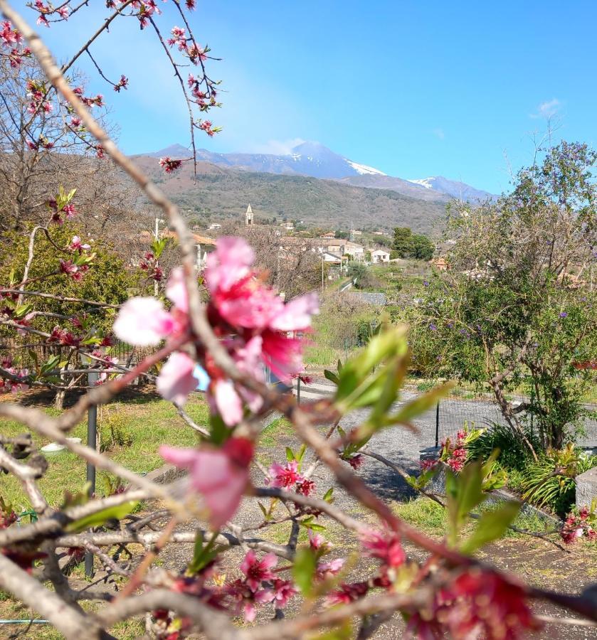 فيلا Etna Green House زافيرانا إتنيا المظهر الخارجي الصورة