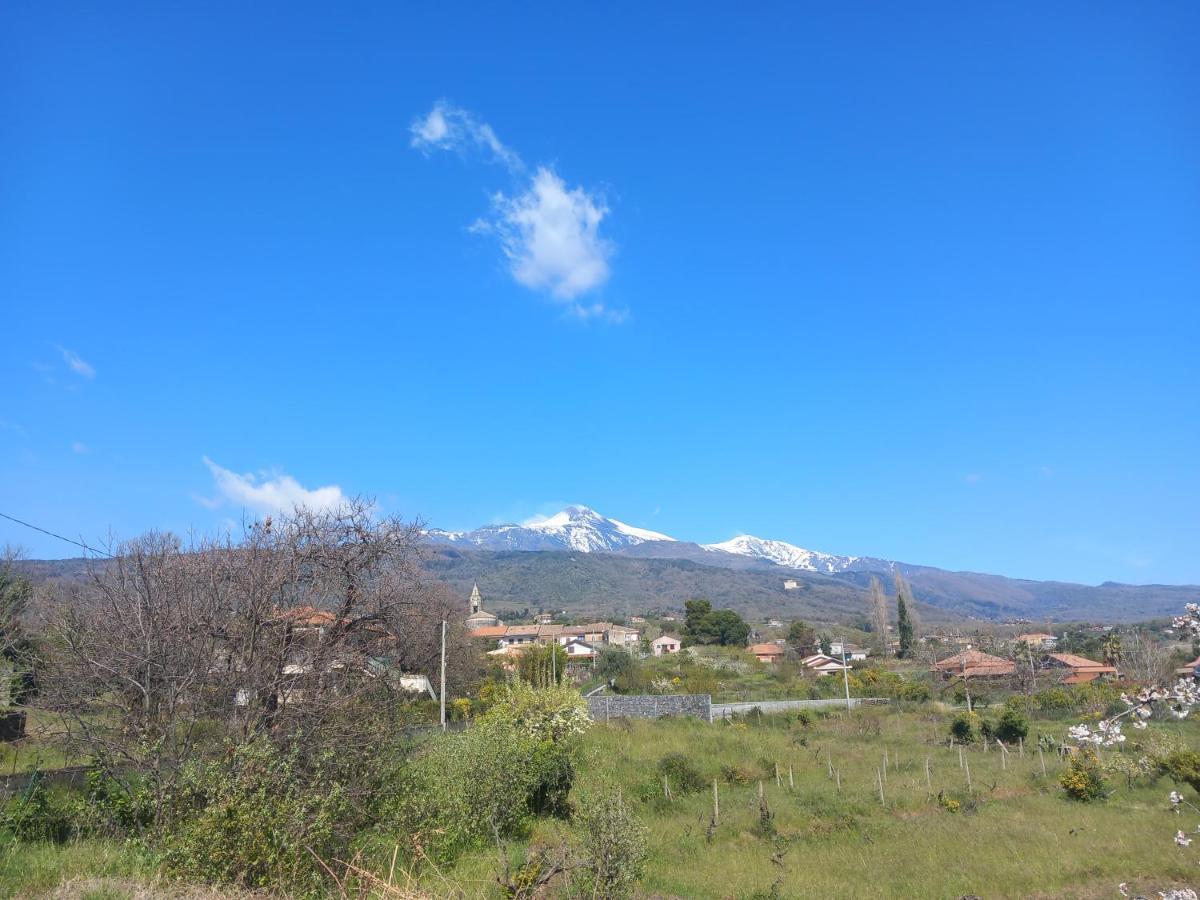 فيلا Etna Green House زافيرانا إتنيا المظهر الخارجي الصورة