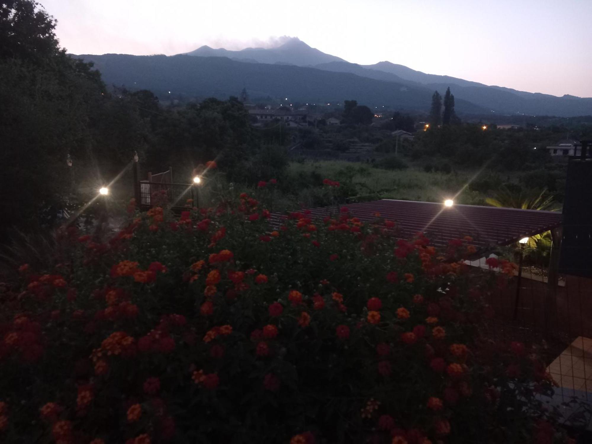فيلا Etna Green House زافيرانا إتنيا المظهر الخارجي الصورة