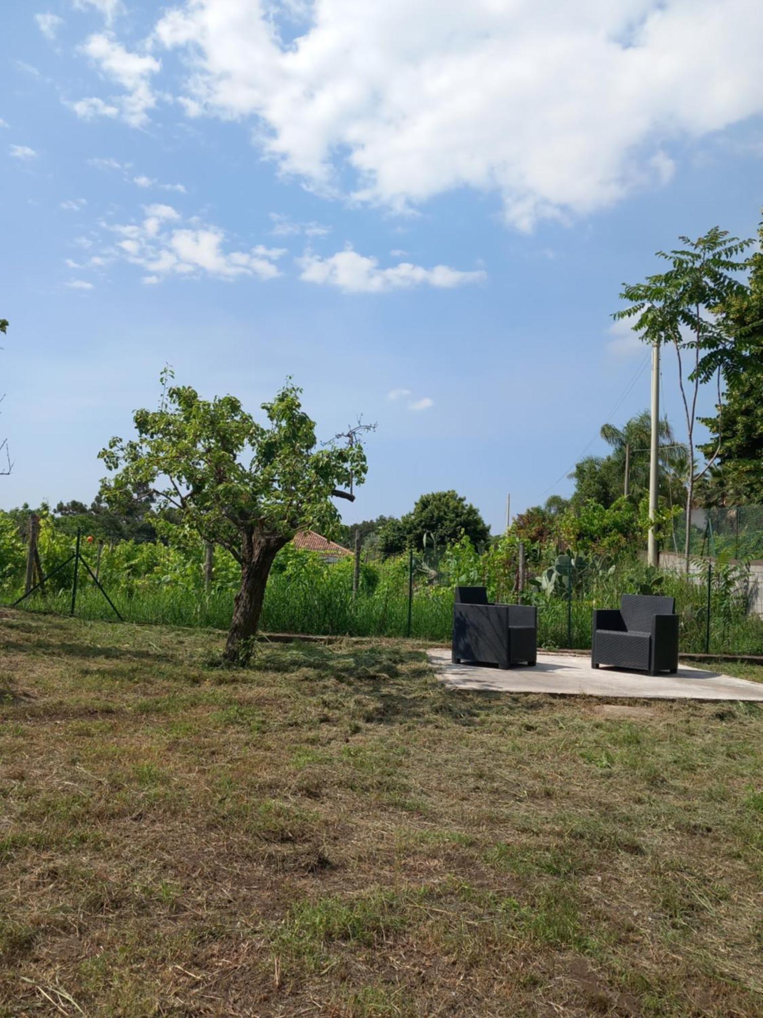 فيلا Etna Green House زافيرانا إتنيا المظهر الخارجي الصورة